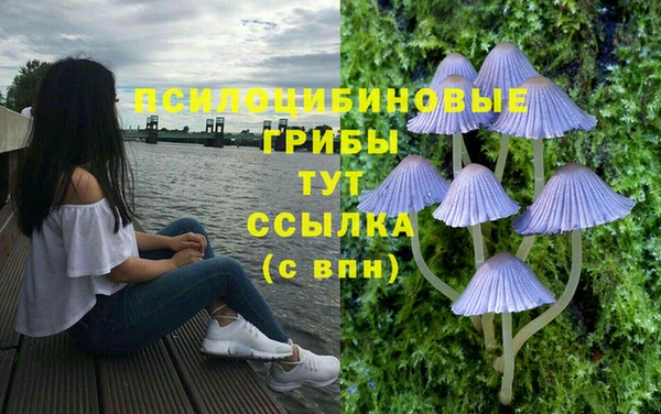 a pvp Вязьма