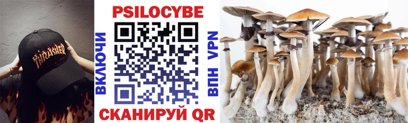 Псилоцибиновые грибы ЛСД Карабулак
