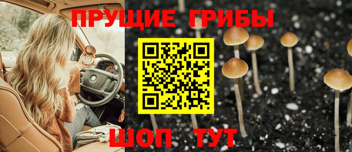 Галлюциногенные грибы Magic Shrooms Карабулак