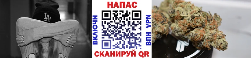 Каннабис конопля  Карабулак 